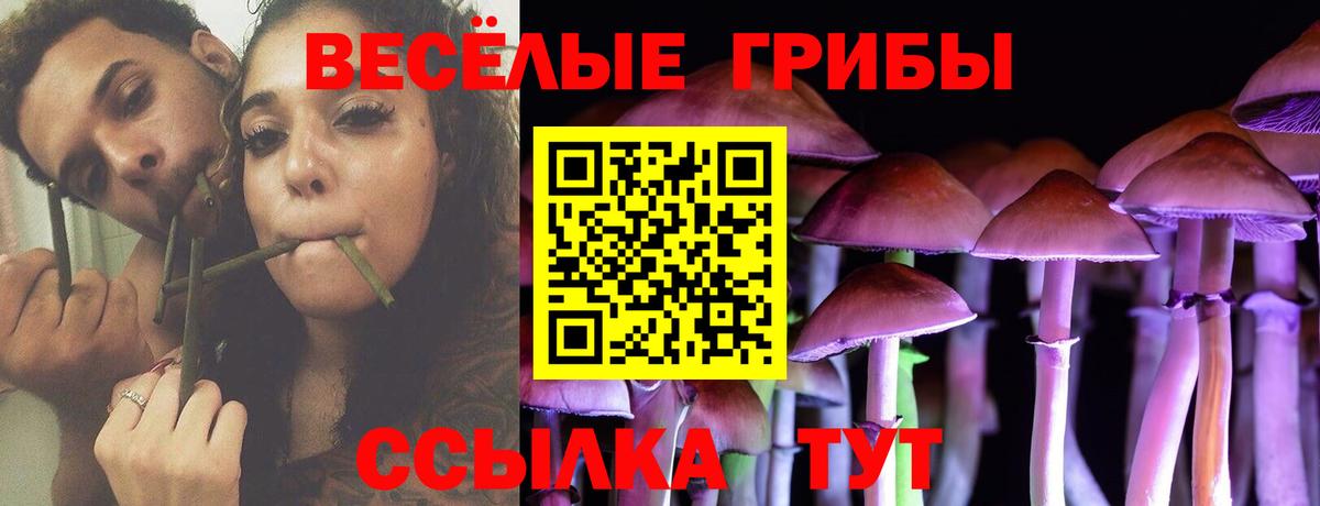 Богородск  Псилоцибиновые грибы мухоморы  Галлюциногенные грибы GOLDEN TEACHER  купить наркоту  Вход с VPN 